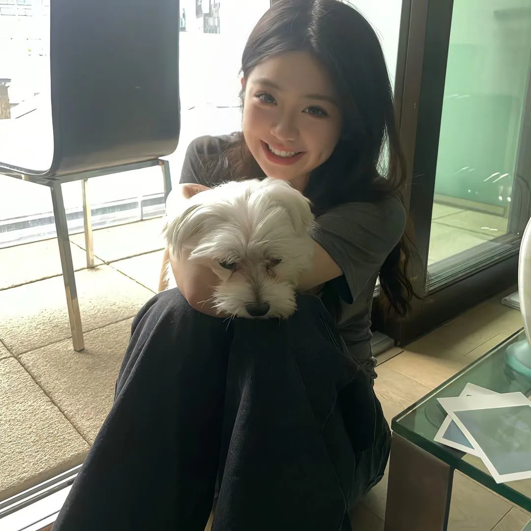 对战美洲狮